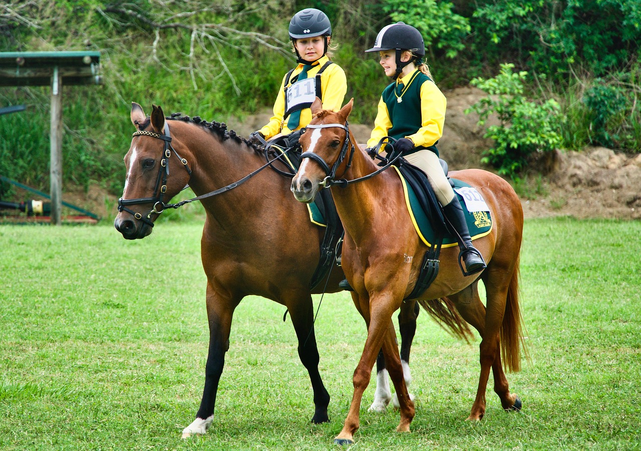 Cascos para montar a caballo