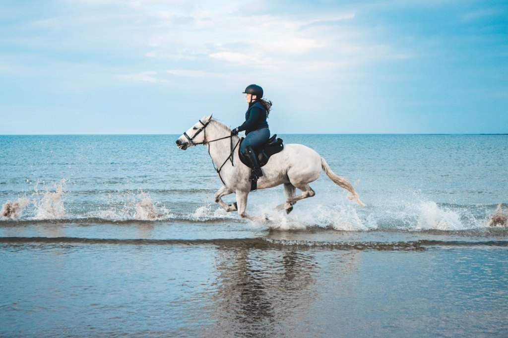cascos para montar a caballo