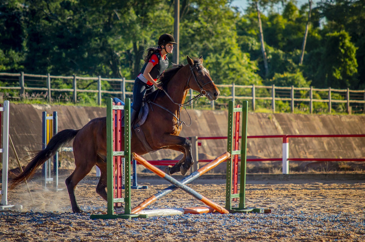 Protección confiable para cada jinete a caballo
