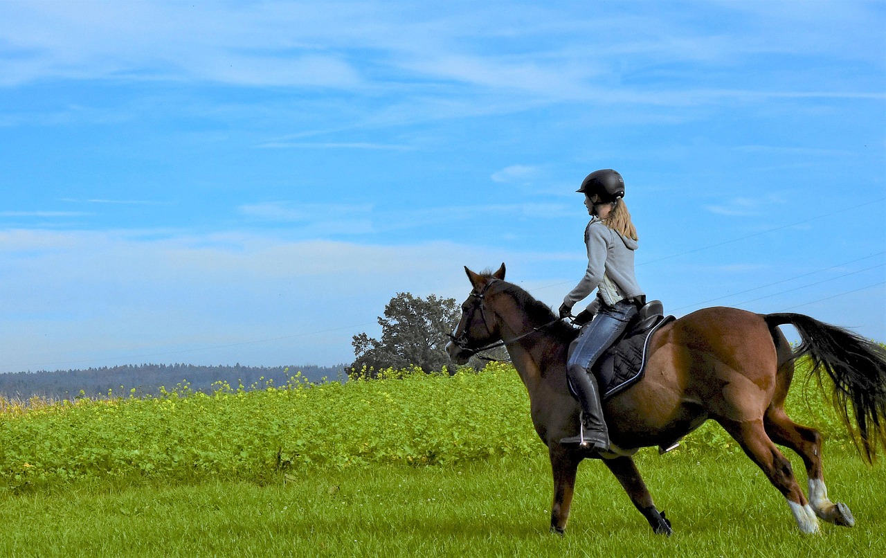 Casco de montar a caballo